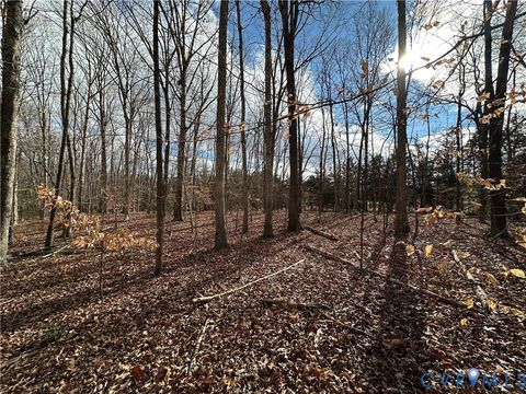 Tiny photo for Lot 2 Dogtown Road, Sandy Hook, VA 23063 (MLS # 2531999)