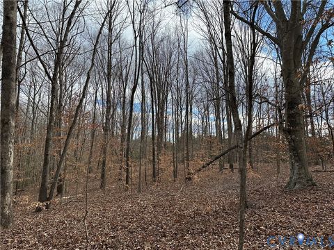 Tiny photo for Lot 2 Dogtown Road, Sandy Hook, VA 23063 (MLS # 2531999)