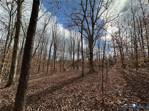 Tiny photo for Lot 2 Dogtown Road, Sandy Hook, VA 23063 (MLS # 2531999)