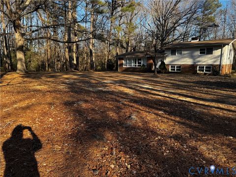 Tiny photo for 3343 Union Branch Road, Prince George, VA 23805 (MLS # 2533609)