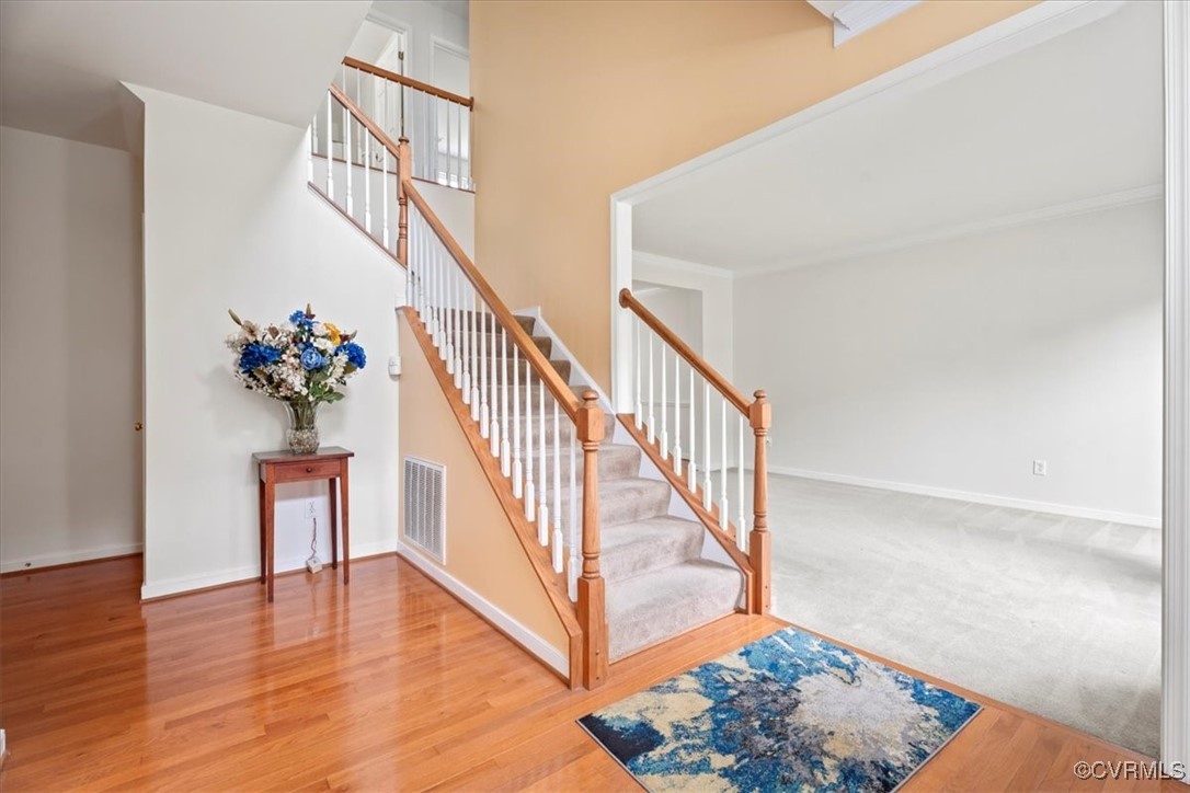 156 Hawk Nest Court