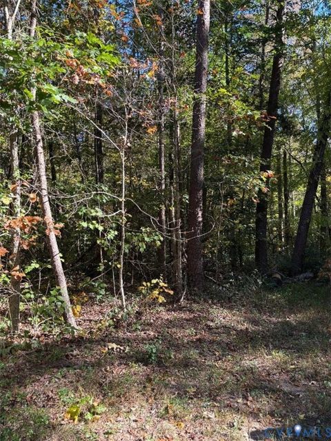 Photo of 0 Stokes Station Road, Goochland, VA 23063 (MLS # 2529521)