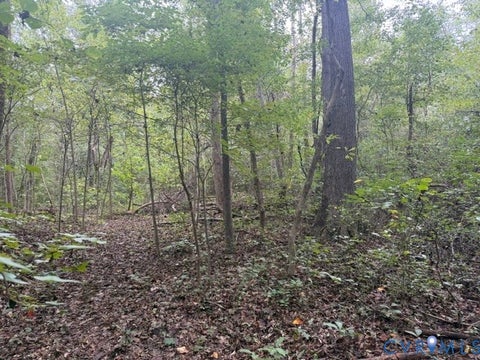 Tiny photo for 14B lot Twin Bridges Road, Green Bay, VA 23942 (MLS # 2627043)