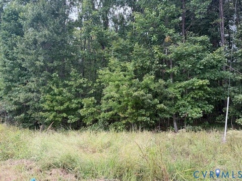 Tiny photo for 14B lot Twin Bridges Road, Green Bay, VA 23942 (MLS # 2627043)
