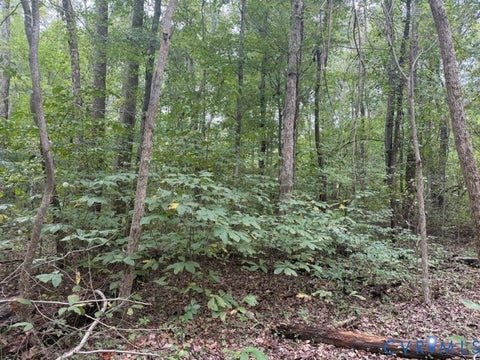Tiny photo for 14B lot Twin Bridges Road, Green Bay, VA 23942 (MLS # 2627043)