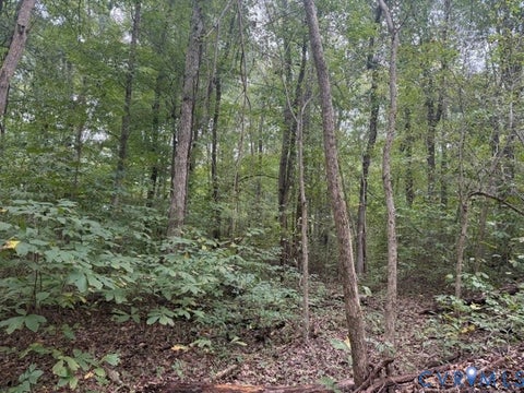 Tiny photo for 14B lot Twin Bridges Road, Green Bay, VA 23942 (MLS # 2627043)