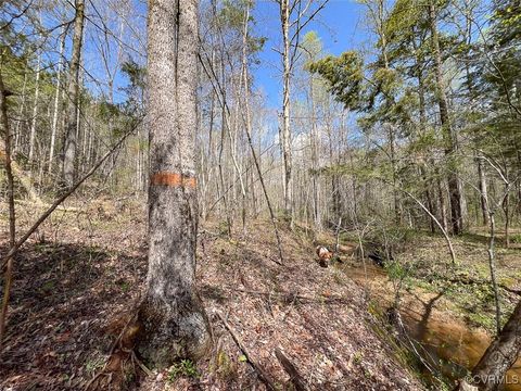 Tiny photo for 116 Gilliam Mill Road, Dillwyn, VA 23936 (MLS # 2509143)