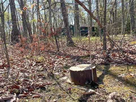 Tiny photo for 116 Gilliam Mill Road, Dillwyn, VA 23936 (MLS # 2509143)