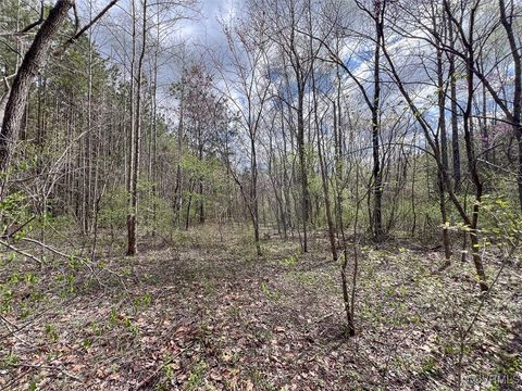 Tiny photo for 116 Gilliam Mill Road, Dillwyn, VA 23936 (MLS # 2509143)