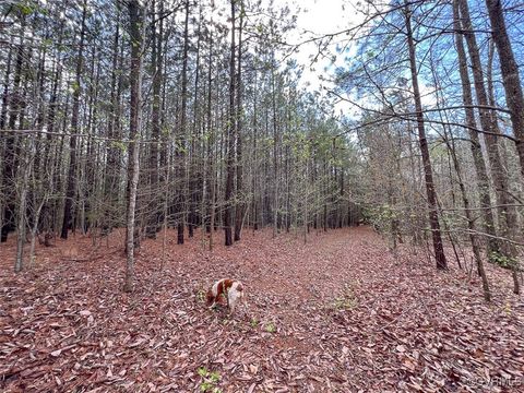 Tiny photo for 116 Gilliam Mill Road, Dillwyn, VA 23936 (MLS # 2509143)