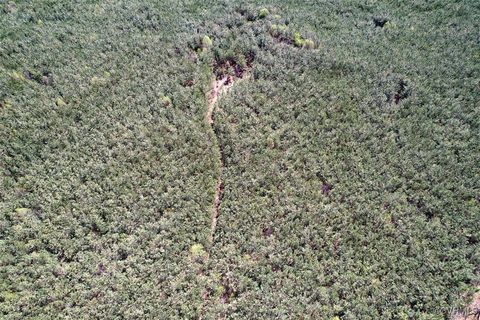 Tiny photo for 116 Gilliam Mill Road, Dillwyn, VA 23936 (MLS # 2509143)