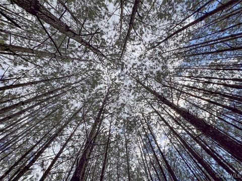 Tiny photo for 116 Gilliam Mill Road, Dillwyn, VA 23936 (MLS # 2509143)