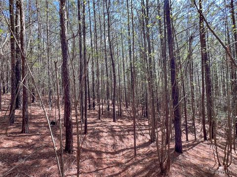 Tiny photo for 116 Gilliam Mill Road, Dillwyn, VA 23936 (MLS # 2509143)