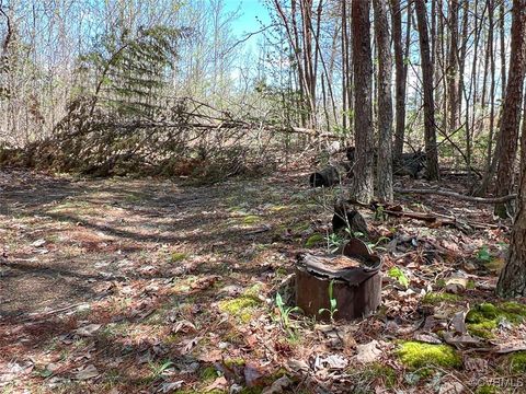 Tiny photo for 116 Gilliam Mill Road, Dillwyn, VA 23936 (MLS # 2509143)