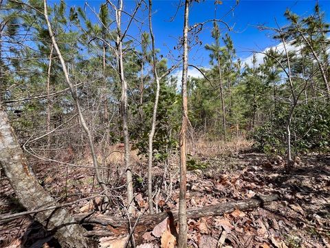 Tiny photo for 116 Gilliam Mill Road, Dillwyn, VA 23936 (MLS # 2509143)