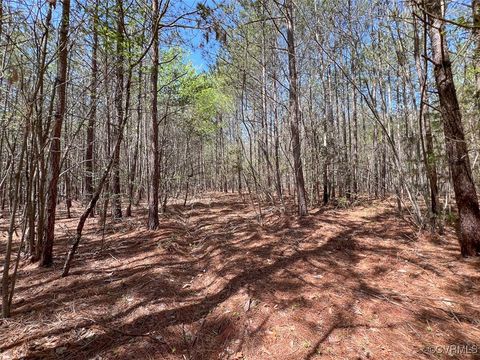 Tiny photo for 116 Gilliam Mill Road, Dillwyn, VA 23936 (MLS # 2509143)