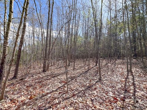 Tiny photo for 116 Gilliam Mill Road, Dillwyn, VA 23936 (MLS # 2509143)