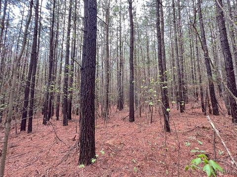 Tiny photo for 116 Gilliam Mill Road, Dillwyn, VA 23936 (MLS # 2509143)