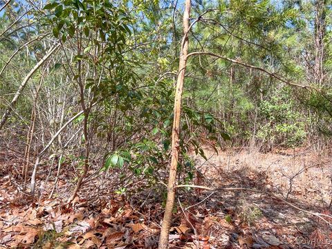 Tiny photo for 116 Gilliam Mill Road, Dillwyn, VA 23936 (MLS # 2509143)