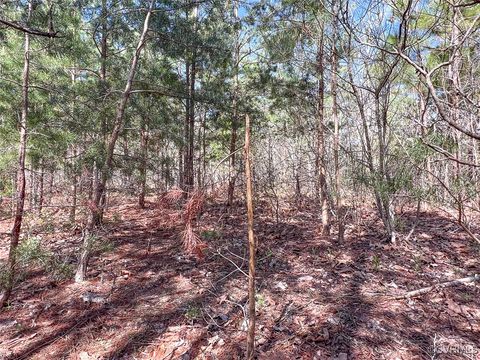 Tiny photo for 116 Gilliam Mill Road, Dillwyn, VA 23936 (MLS # 2509143)