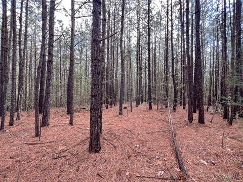 Tiny photo for 116 Gilliam Mill Road, Dillwyn, VA 23936 (MLS # 2509143)