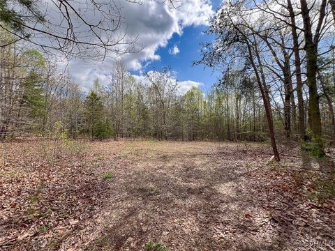 Tiny photo for 116 Gilliam Mill Road, Dillwyn, VA 23936 (MLS # 2509143)