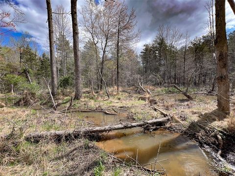 Tiny photo for 116 Gilliam Mill Road, Dillwyn, VA 23936 (MLS # 2509143)