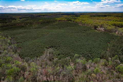 Tiny photo for 116 Gilliam Mill Road, Dillwyn, VA 23936 (MLS # 2509143)