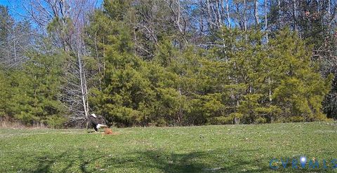 Tiny photo for 0 and 00 Nesting Road, Jamaica, VA 23079 (MLS # 2615885)