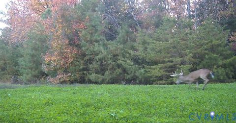 Tiny photo for 0 and 00 Nesting Road, Jamaica, VA 23079 (MLS # 2615885)