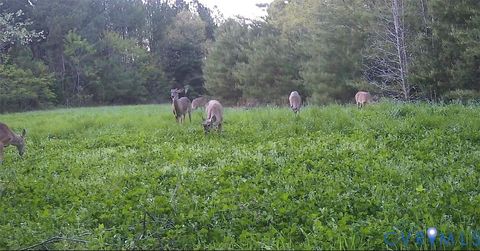 Photo of 0 and 00 Nesting Road, Jamaica, VA 23079 (MLS # 2615885)