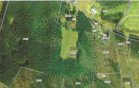 26.55 Ac Namozine Road Amelia Courthouse VA 23002