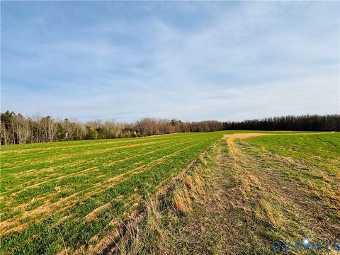 Tiny photo for TBD Abilene Road, Charlotte Courthouse, VA 23923 (MLS # 2607022)
