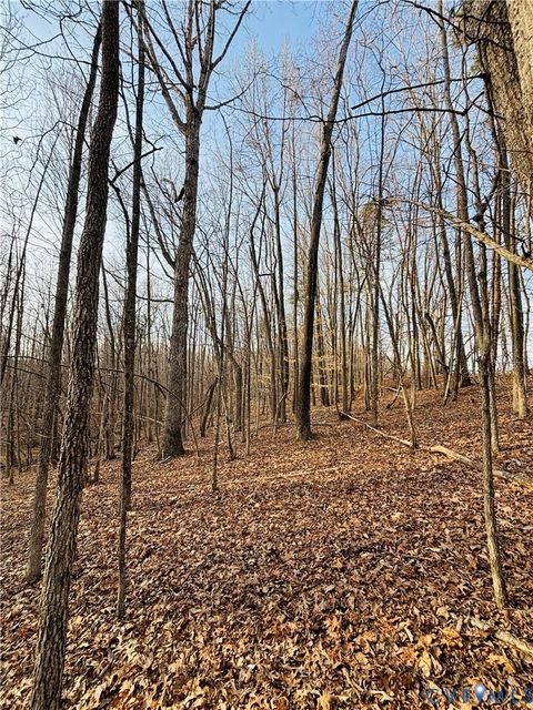 Tiny photo for TBD Abilene Road, Charlotte Courthouse, VA 23923 (MLS # 2607022)