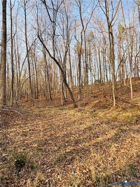 Tiny photo for TBD Abilene Road, Charlotte Courthouse, VA 23923 (MLS # 2607022)