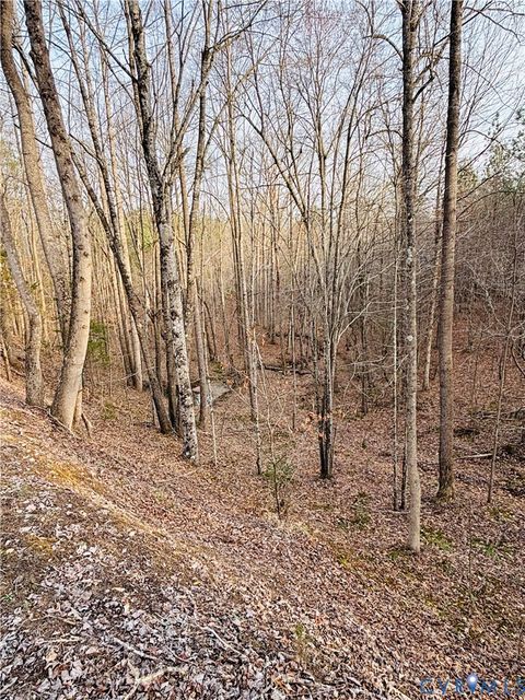 Tiny photo for TBD Abilene Road, Charlotte Courthouse, VA 23923 (MLS # 2607022)