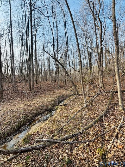 Tiny photo for TBD Abilene Road, Charlotte Courthouse, VA 23923 (MLS # 2607022)