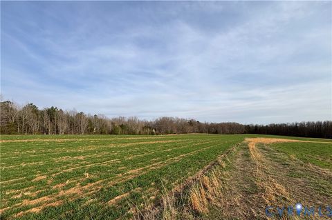 Tiny photo for TBD Abilene Road, Charlotte Courthouse, VA 23923 (MLS # 2607022)