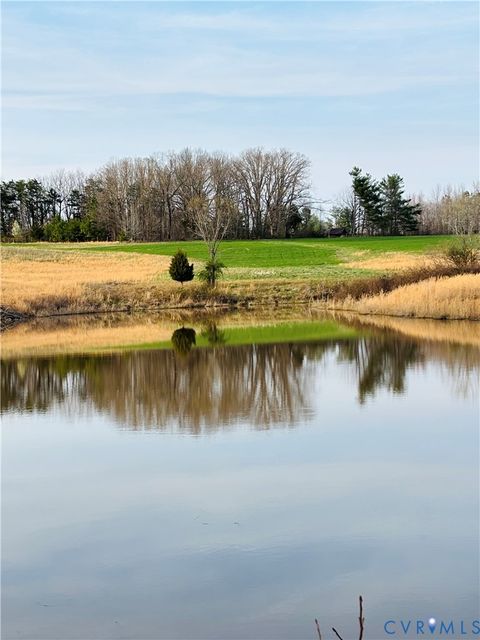 Tiny photo for TBD Abilene Road, Charlotte Courthouse, VA 23923 (MLS # 2607022)