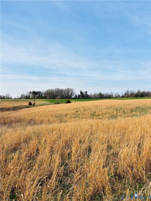 Tiny photo for TBD Abilene Road, Charlotte Courthouse, VA 23923 (MLS # 2607022)