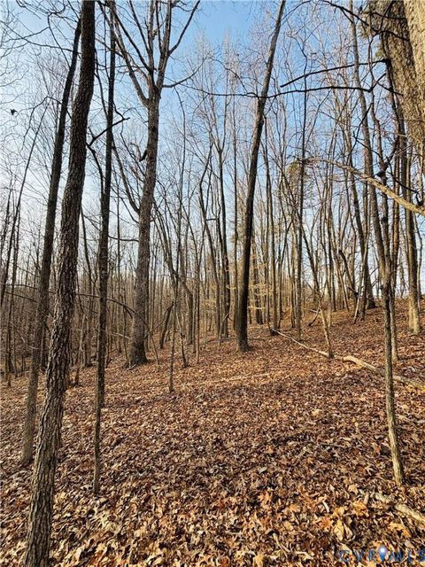 Tiny photo for TBD Abilene Road, Charlotte Courthouse, VA 23923 (MLS # 2607022)