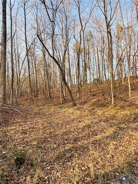 Tiny photo for TBD Abilene Road, Charlotte Courthouse, VA 23923 (MLS # 2607022)