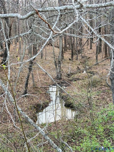 Tiny photo for TBD Abilene Road, Charlotte Courthouse, VA 23923 (MLS # 2607022)