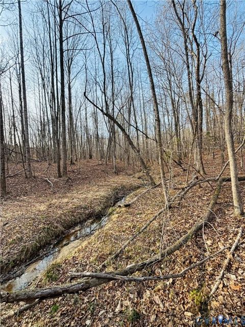 Tiny photo for TBD Abilene Road, Charlotte Courthouse, VA 23923 (MLS # 2607022)