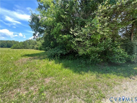 Tiny photo for 0027 Aspen Grove Road, Buckingham, VA 23901 (MLS # 2622307)
