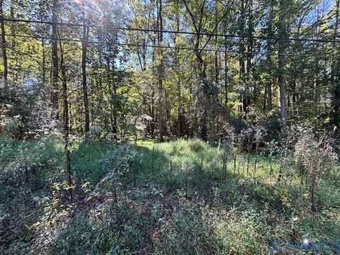 Tiny photo for 4655 John Tyler Hwy Hwy, Williamsburg, VA 23185 (MLS # 2608069)