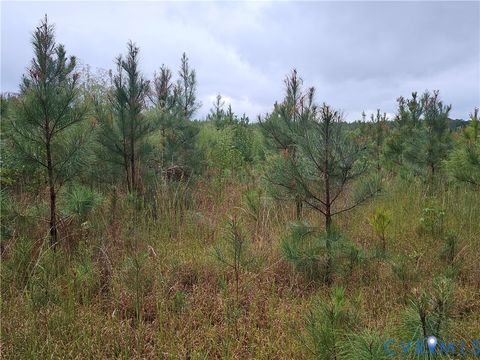 Tiny photo for 0 Courthouse Road, Waverly, VA 23890 (MLS # 2528706)