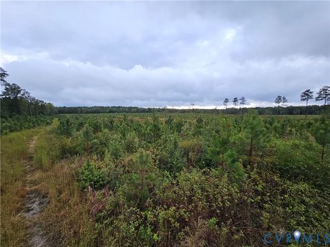 Tiny photo for 0 Courthouse Road, Waverly, VA 23890 (MLS # 2528706)