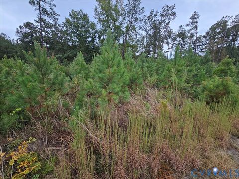 Tiny photo for 0 Courthouse Road, Waverly, VA 23890 (MLS # 2528706)