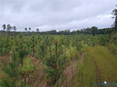 Tiny photo for 0 Courthouse Road, Waverly, VA 23890 (MLS # 2528706)